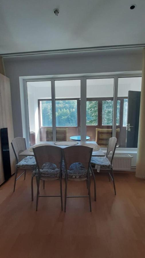 Monik Apartament Sinaia Buitenkant foto