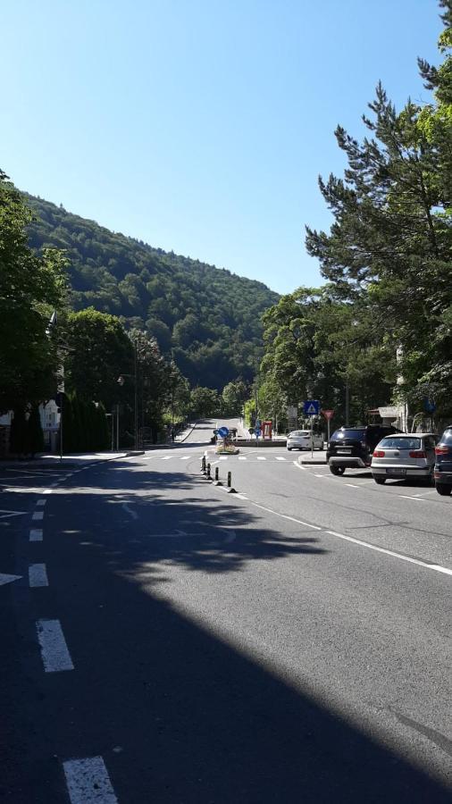 Monik Apartament Sinaia Buitenkant foto