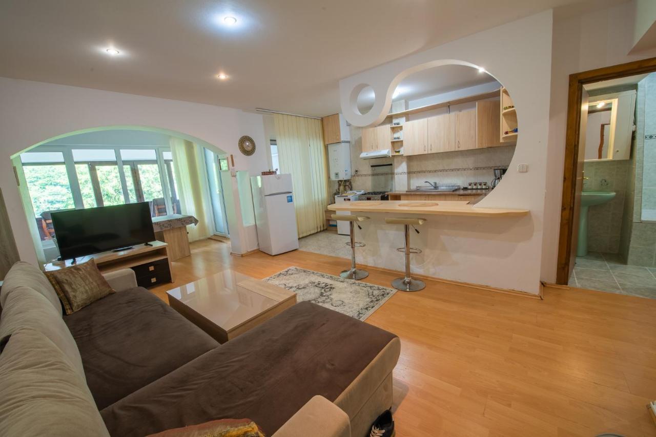 Monik Apartament Sinaia Buitenkant foto