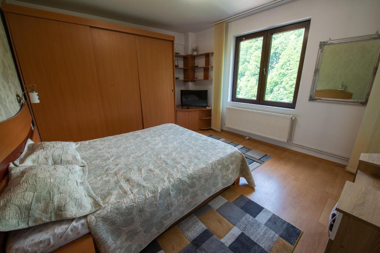 Monik Apartament Sinaia Buitenkant foto