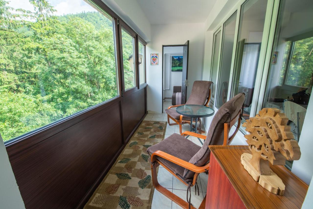 Monik Apartament Sinaia Buitenkant foto