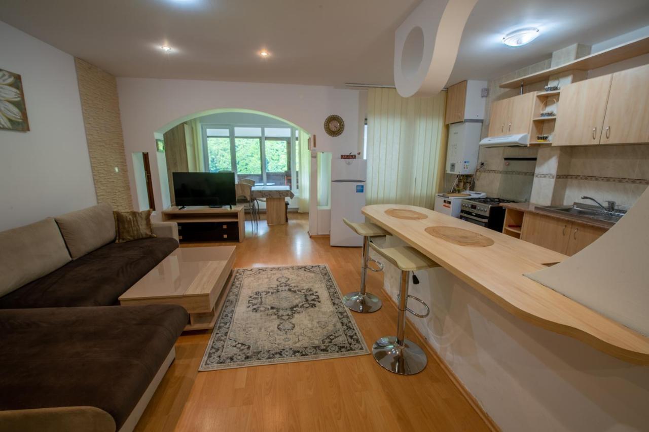 Monik Apartament Sinaia Buitenkant foto