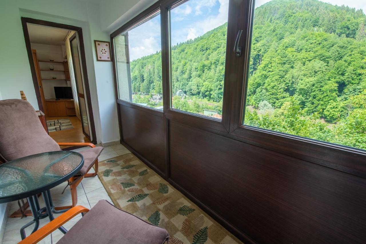 Monik Apartament Sinaia Buitenkant foto