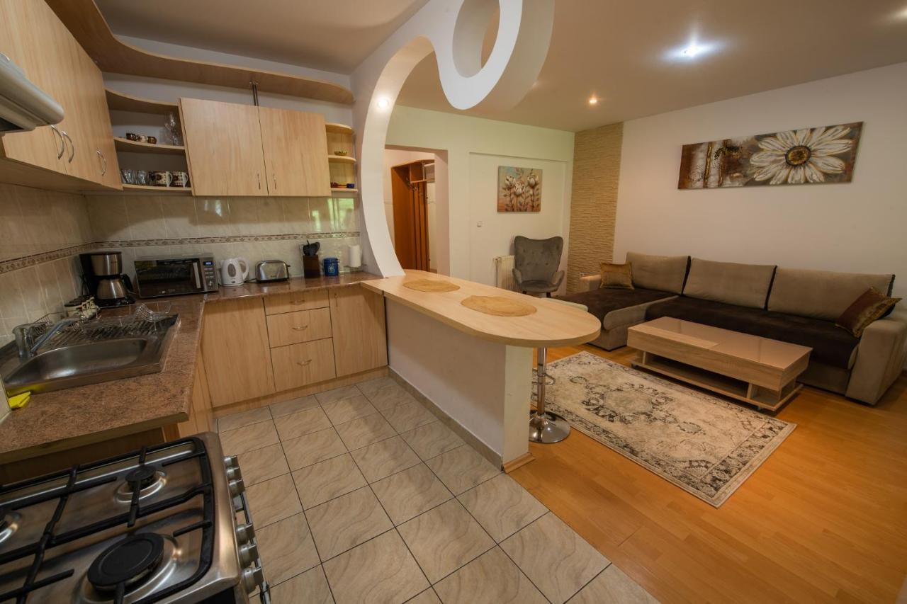 Monik Apartament Sinaia Buitenkant foto