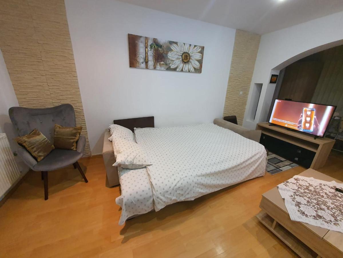 Monik Apartament Sinaia Buitenkant foto