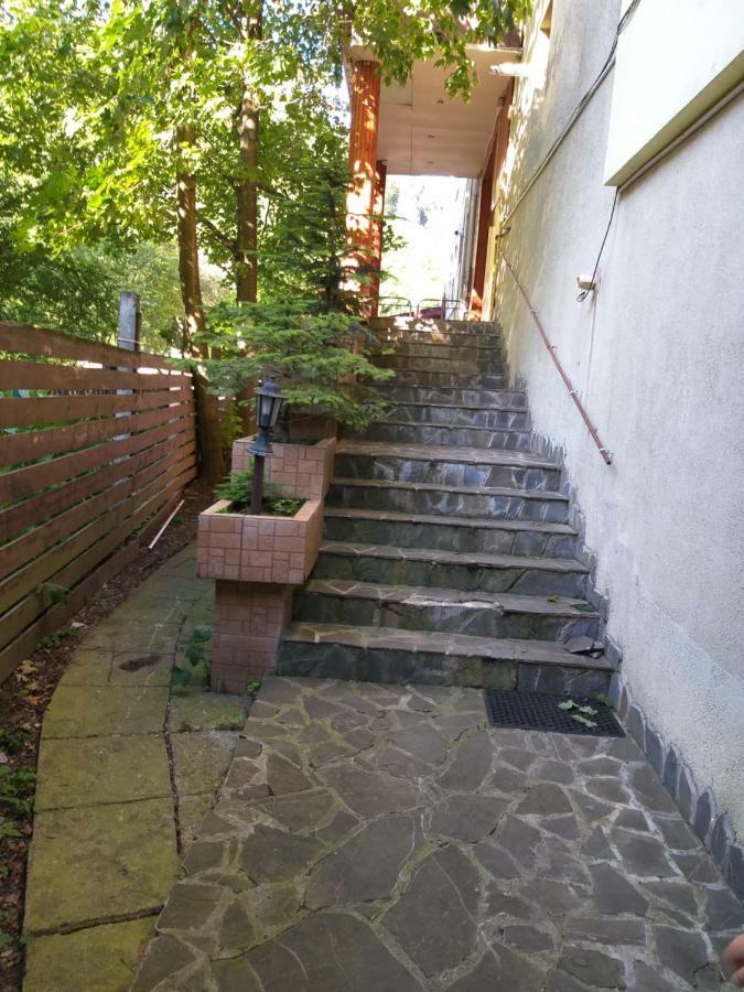 Monik Apartament Sinaia Buitenkant foto